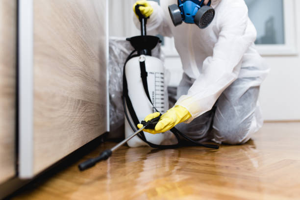 Best Best Pest Control Companies  in Provo, UT