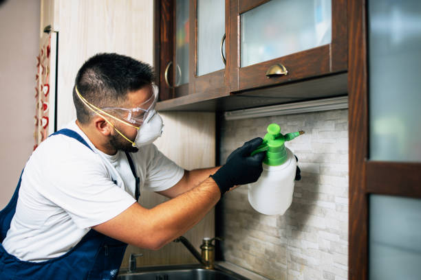 Best Insect Control  in Provo, UT