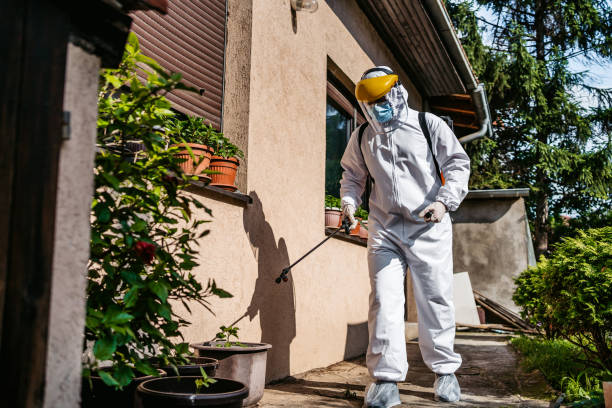 Best Emergency Pest Control  in Provo, UT