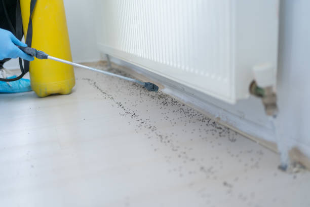 Best Affordable Pest Control Services  in Provo, UT