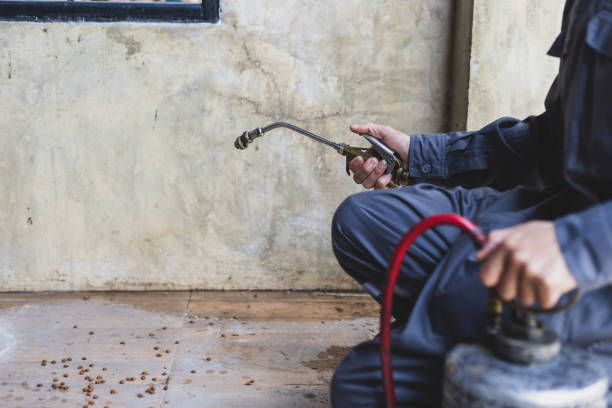 Best Best Pest Control Companies  in Provo, UT