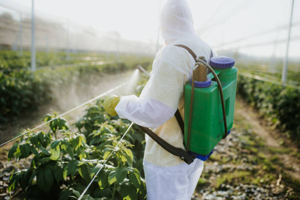 Best Bed Bug Extermination  in Provo, UT
